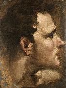 Domenico Beccafumi Head of a Youth Seen in Profile oil painting picture wholesale